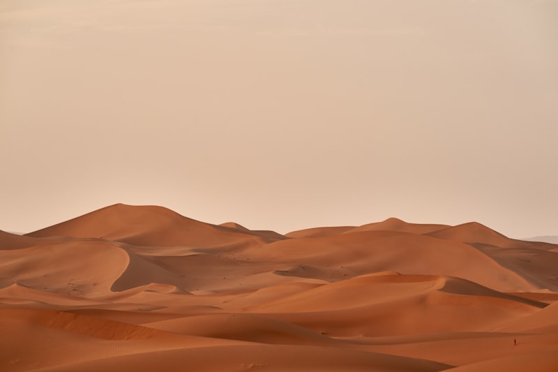 Desert camp in the Great Sand Sea near Siwa